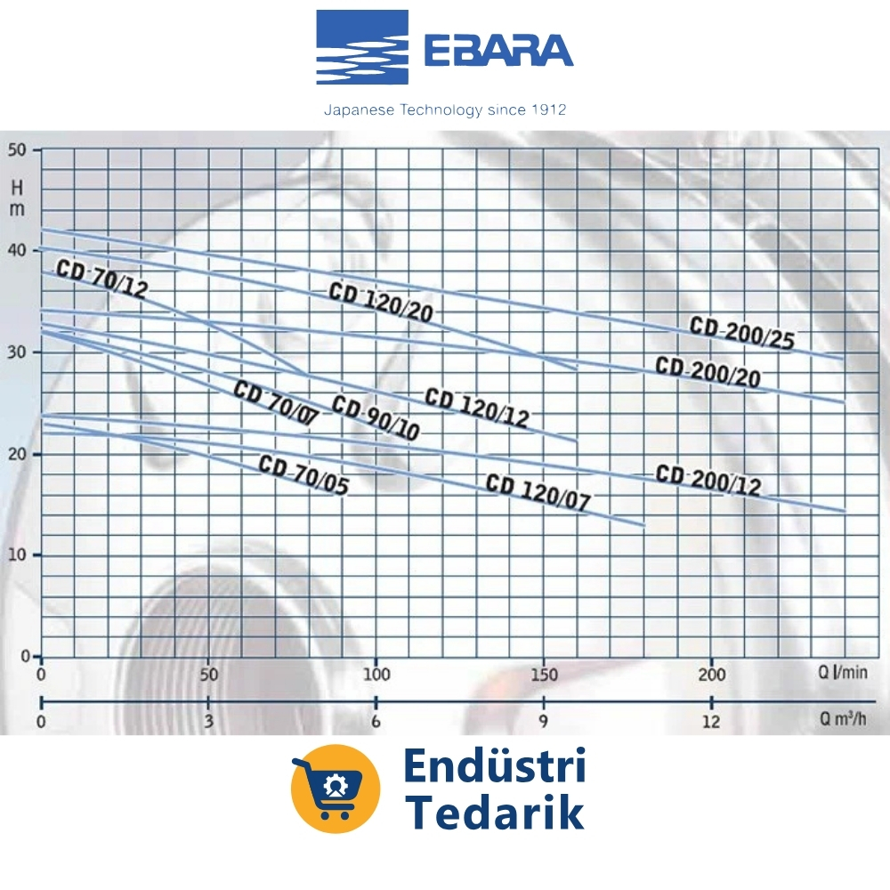 EBARA CD 200/25 Trifze Tek Kademeli Hijyenik Paslanmaz Çelik Santrifüj Pompa (AISI 304) - Görsel 4