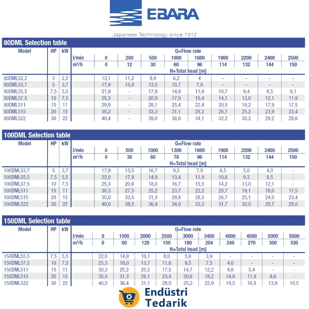 EBARA 150 DML 55.5 Atıksu Dalgıç Pompa - Görsel 4