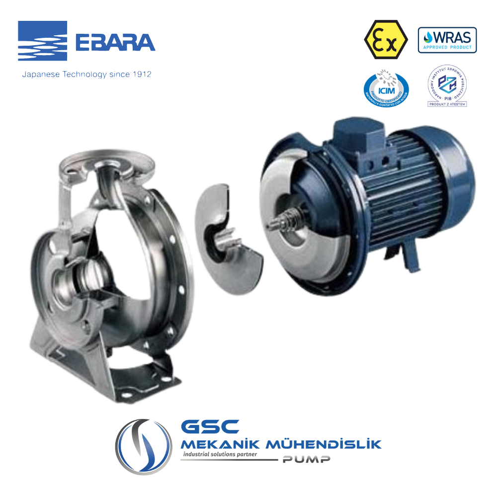 EBARA 3M 65-200/15 Trifaze Monoblok Yatay Tek Kademeli AISI304 Paslanmaz Çelik Santrifüj Pompa - Görsel 6